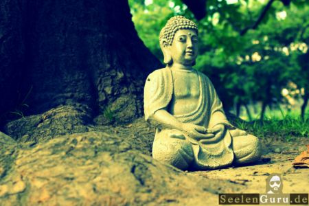 buddha-fliege